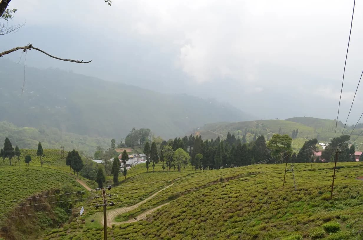 Darjeeling Tea Slopes & Gangtok High Lake