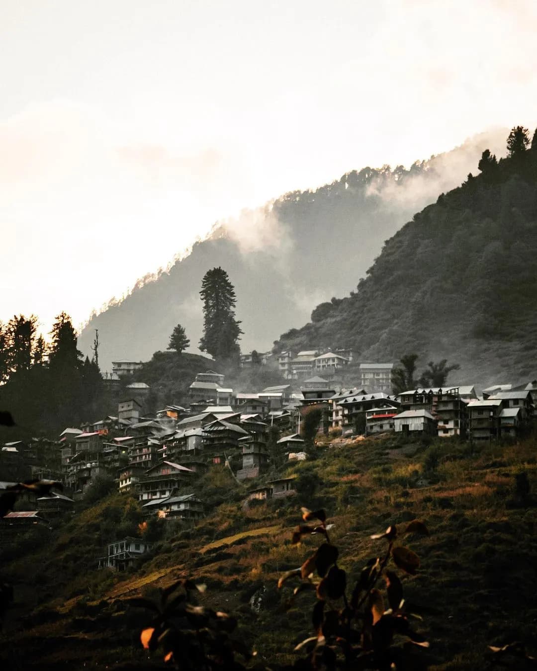 Malana & Magic Valley Alpine Trek