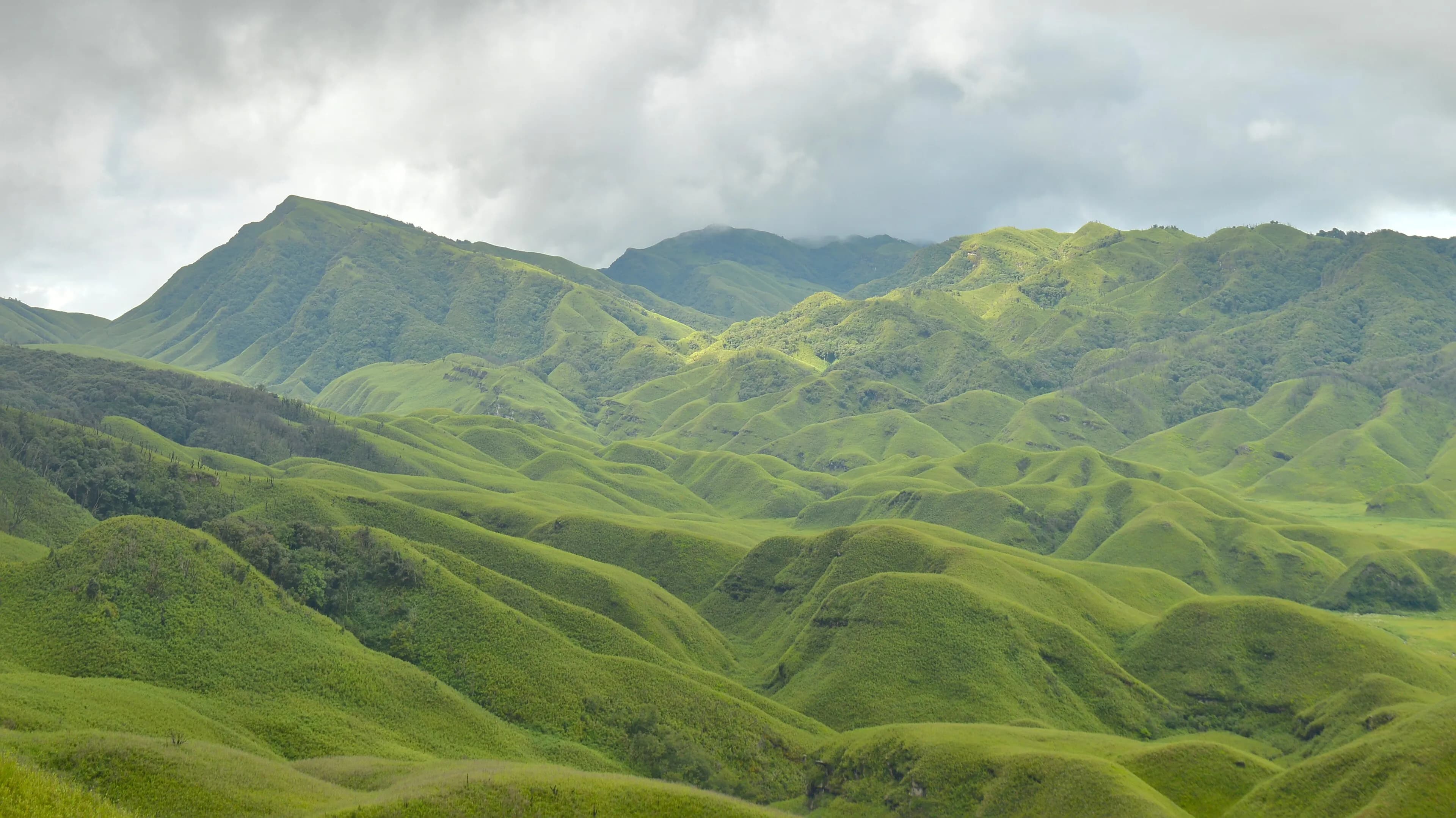 Dzukou Valley Floral Meadow & Hornbill Trail