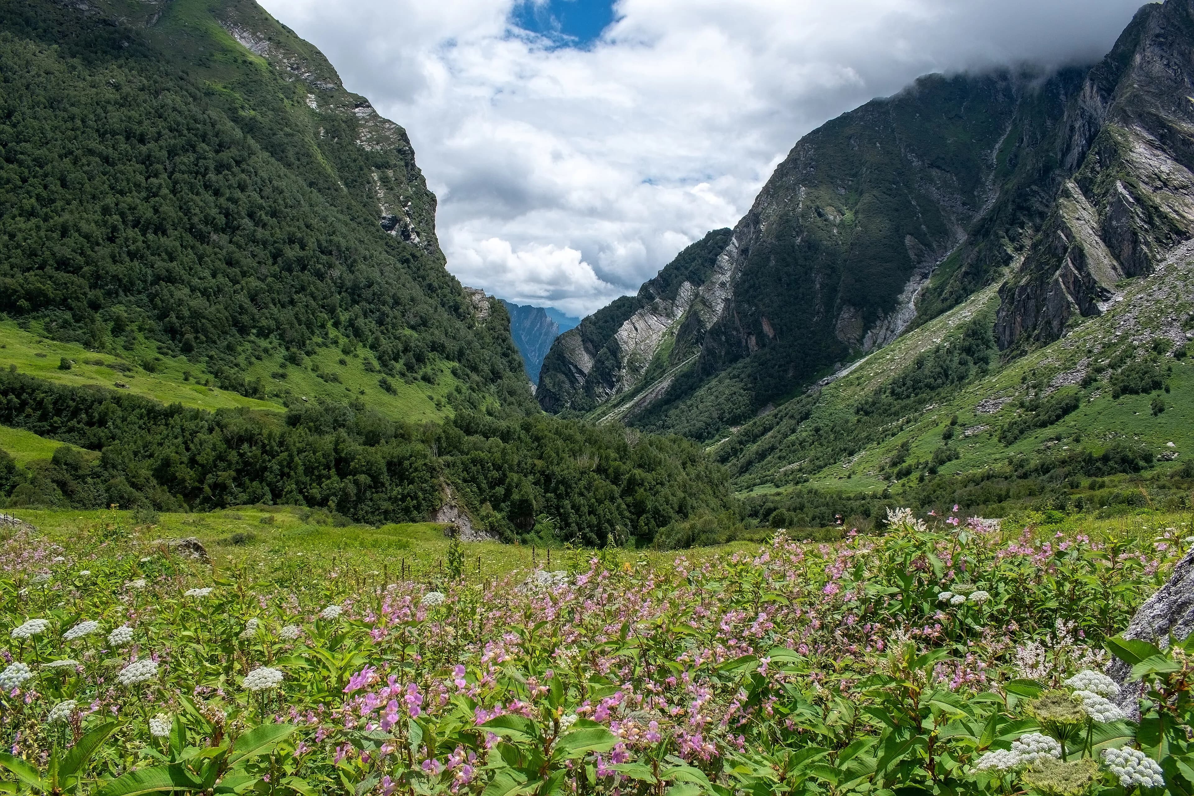 Valley of Flowers & Hemkund Sahib Trek